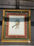 Frame John Gould, Rogan ambiguous bird print