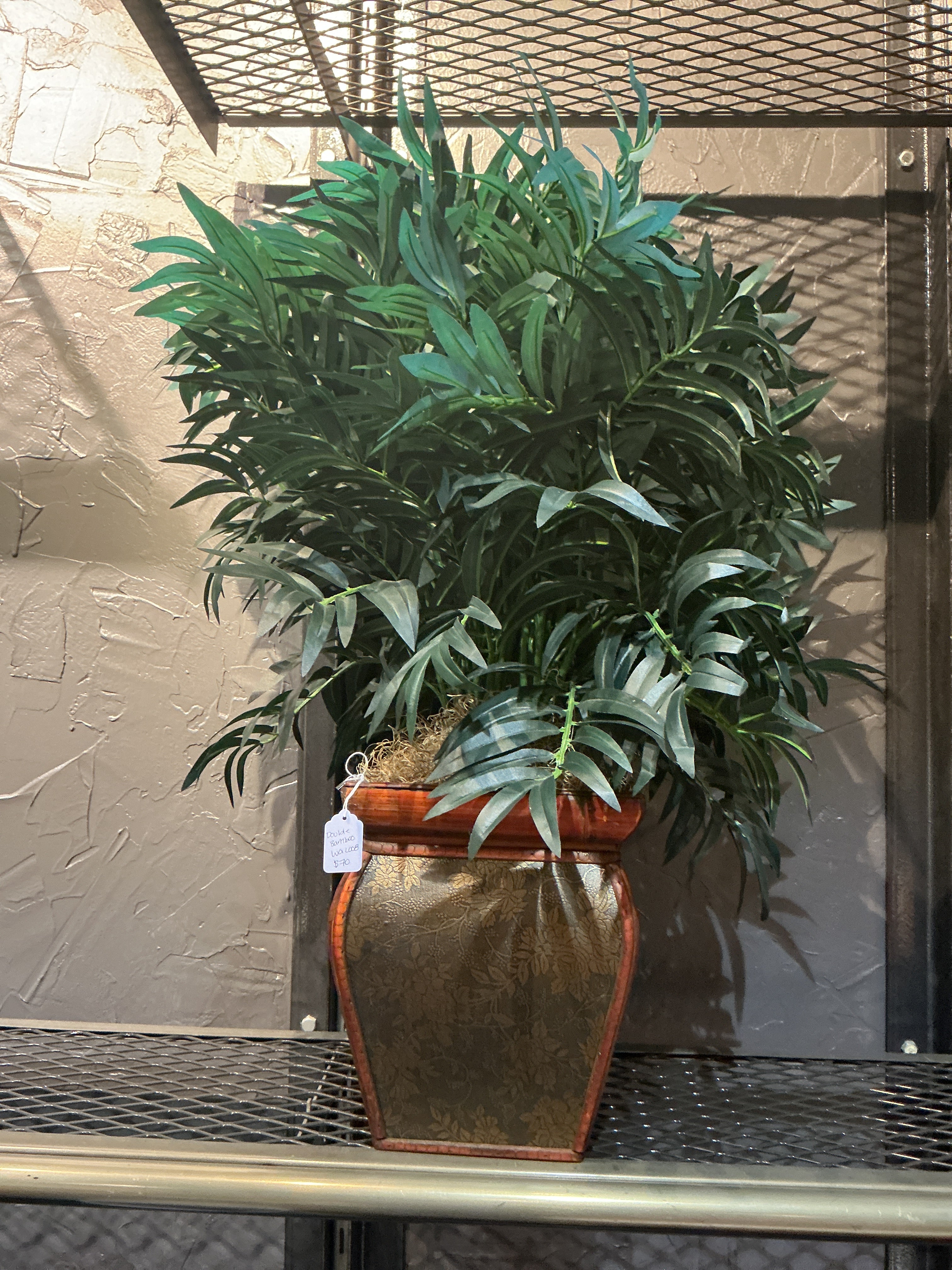 The botanical  accent
