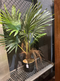 Faux bamboo